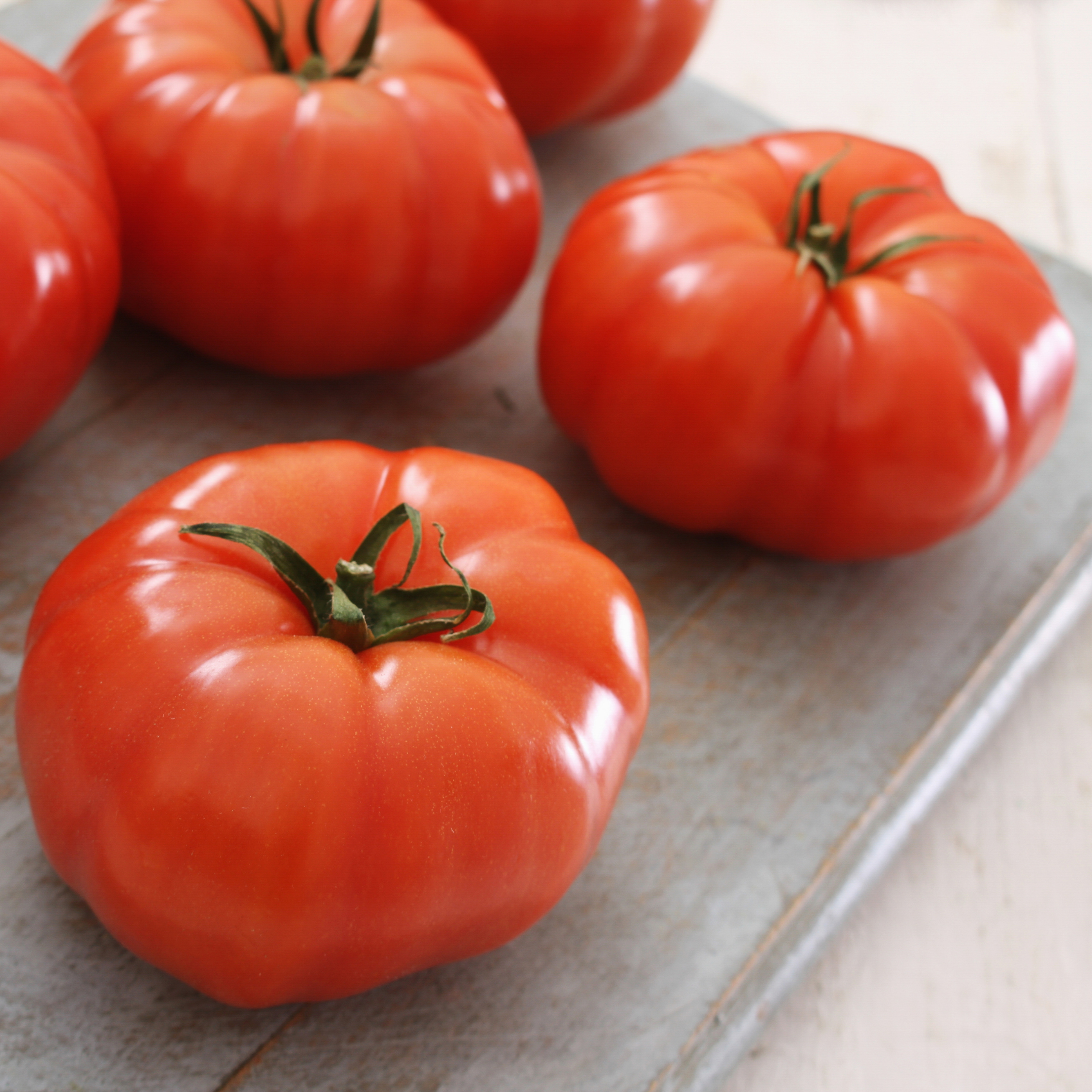 Tomate Marmande aux Jardins de Baugnac
